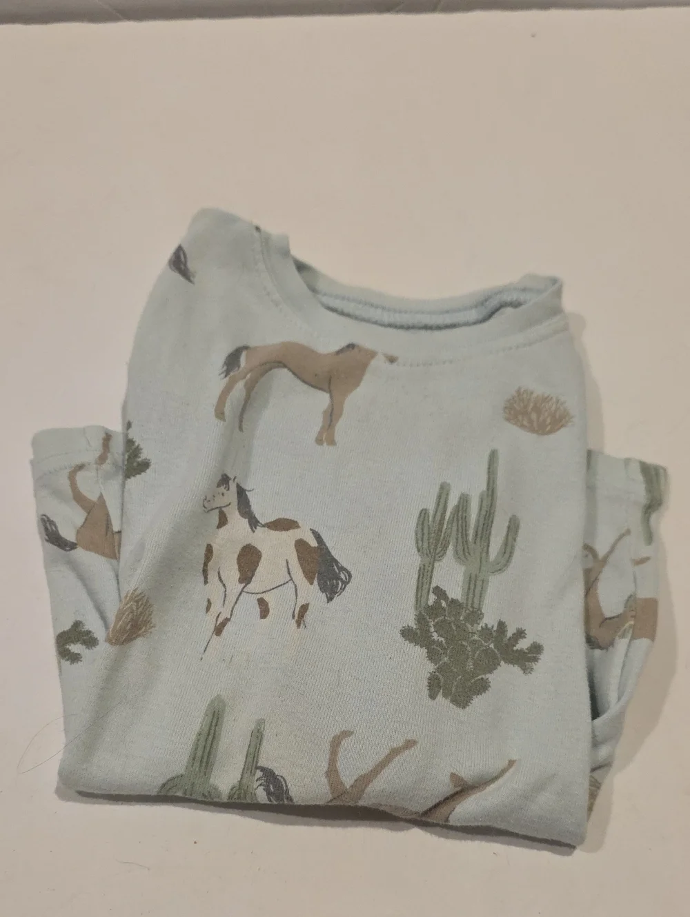 Carter's Light Blue Horse & Cactus Long Sleeve Tee 3t